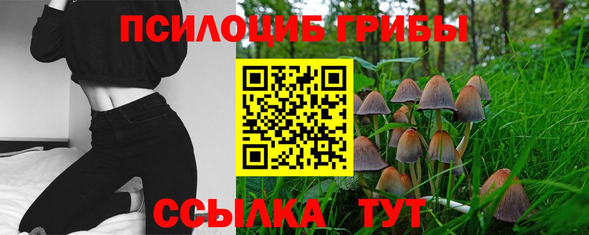 Ростов-на-Дону  Галлюциногенные грибы GOLDEN TEACHER  Вход с VPN  Псилоцибиновые грибы Psilocybe 