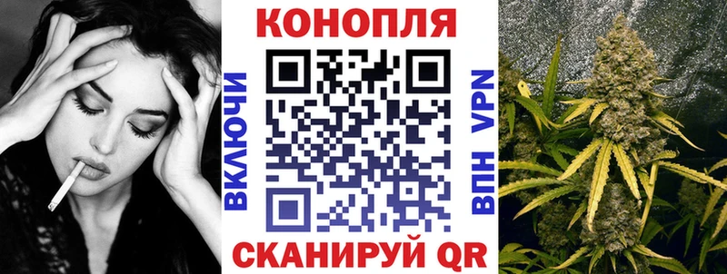 купить наркотик  Ростов-на-Дону  Канабис семена 